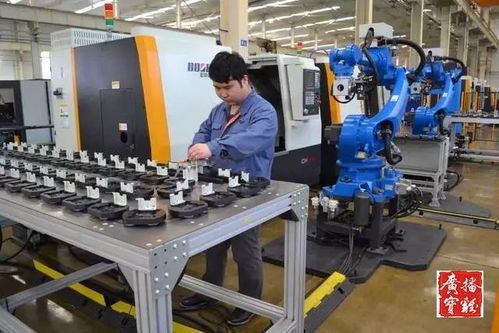 我市具有進(jìn)出口實績的外貿(mào)企業(yè)增至398家